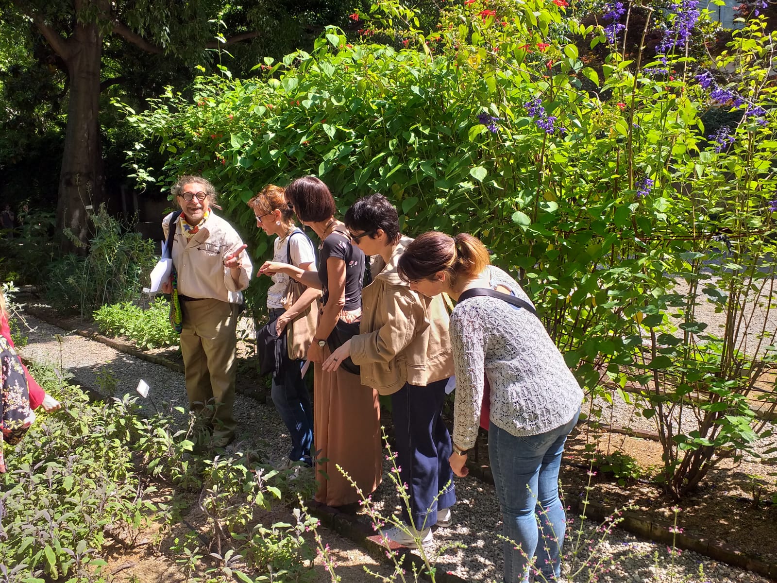 Visita orto botanico di Brera in lingua francese